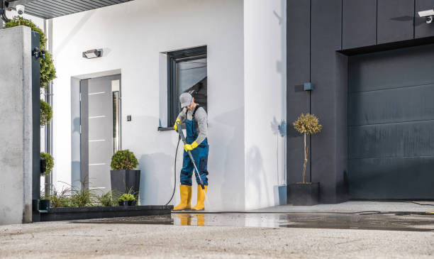 Best Gutter Cleaning  in Matteson, IL